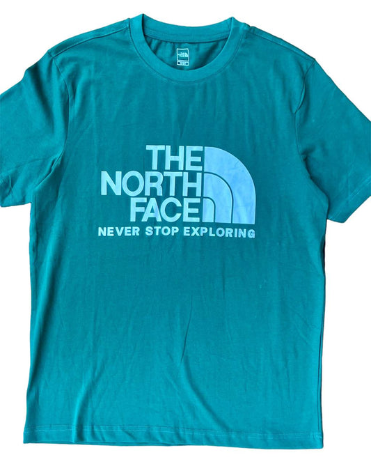 the north face t-shirt